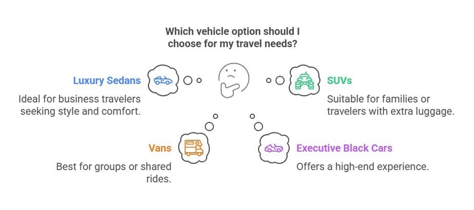 Popular Vehicle Options